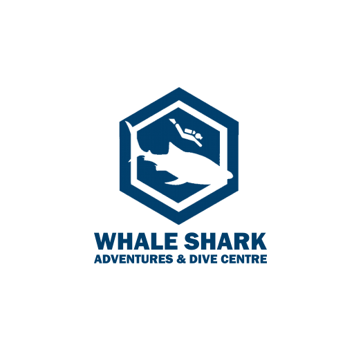 Whale shark adventures and dive centre
