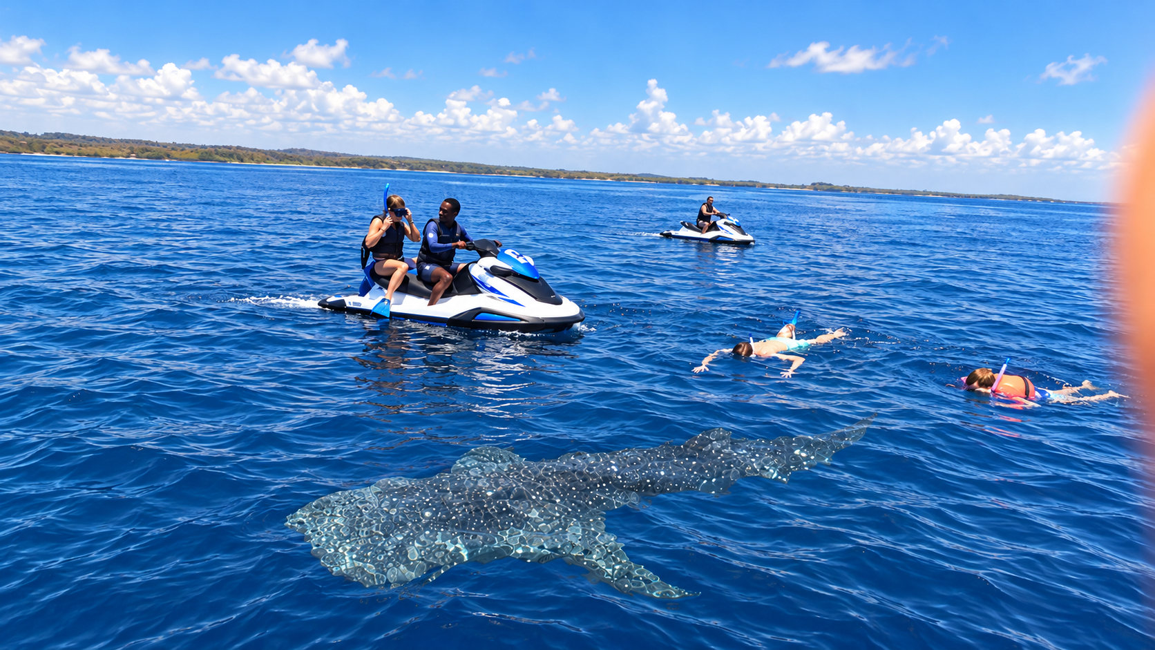Guided jet ski whale shark safari with snorkelers off Diani Beach, Kenya